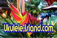 Ukulele Island